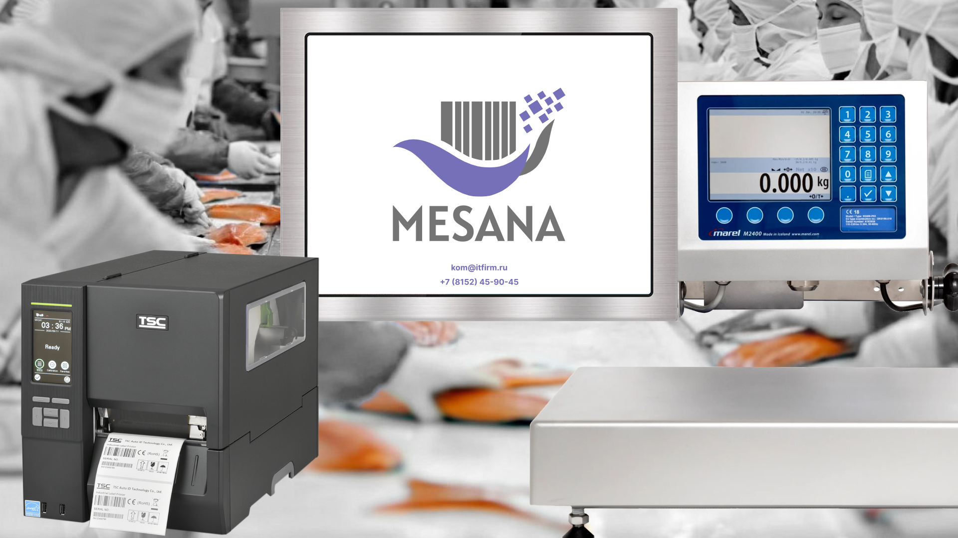 Задачи MESANA